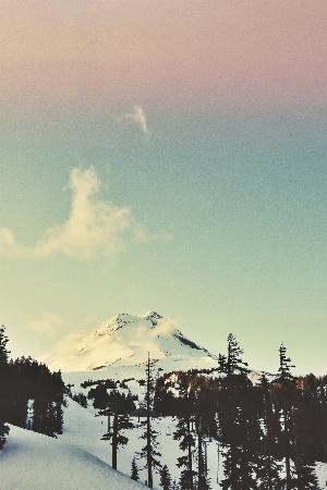 36 - Pr1dopP.jpg Android HD Nature Wallpapers